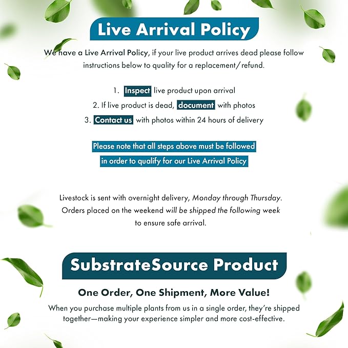 Live Aquarium Stem Plants - Freshwater Aquatic Plant for Fish Tanks, Aquascaping - (Eleocharis Vivipara, 1 Bunch)