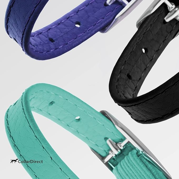 CollarDirect Leather Cat Collar, Cat Safety Collar with Elastic Strap, Kitten Strap with Bell Black Blue Red Orange Lime Green (6-7 Inch, Black)