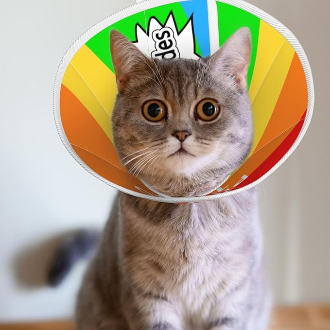 Custom Cat Cone Collar Soft Post-Surgery Comfort Pet Recovery Collar for Wound Care Adjustable Pet Donut Collar
