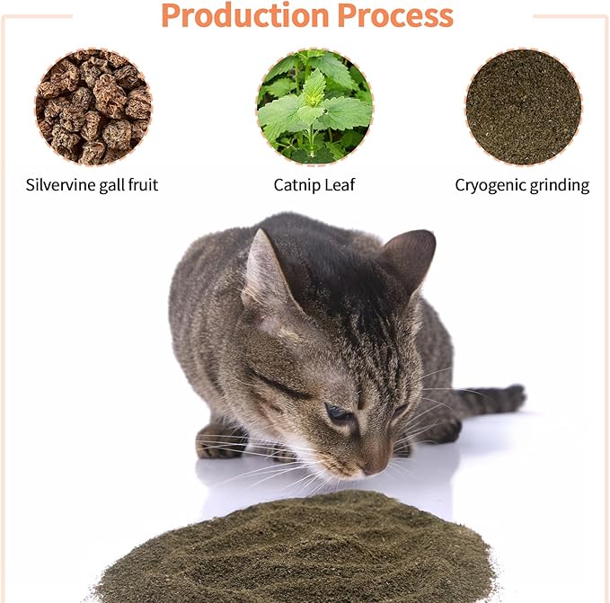 Catnip & Silvervine Powder – 15g Blend of Silver Vine Gall Fruit & Pure Catnip, Non-Addictive, Suitable for All Cat Ages, Multi-Play Use for Cat Toys, Scratchers & Protecting Furniture