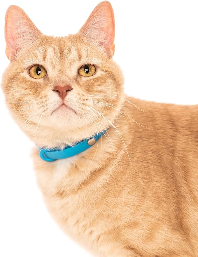 Silicone Cat Collars 2 Pack - Soft, Comfortable, and Lightweight Safety Breakaway Collar with Name Tag Ring for Outdoor Cats and Sensitive Skin Kittens by Nuvuq (6 ⅞" to 10 ¼", Blue)