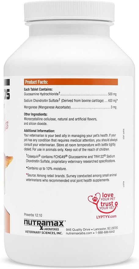 Nutramax Cosequin DS 250 Chews, 2-Pack