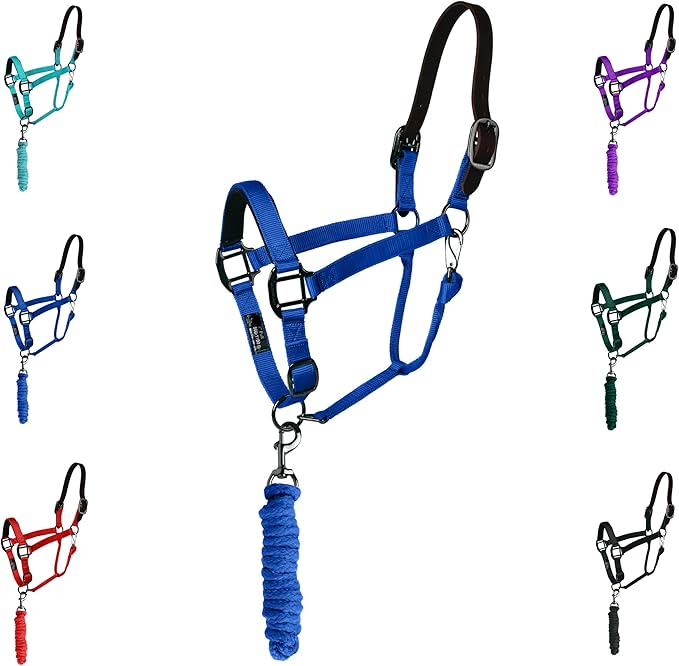 Majestic Ally Leather Halter with Matching Lead Rope for Horses – Leather Breakaway Crown - Adjustable Chin Strap – Rolled Throat Latch – Padded Noseband – Full (Royal Blue, Full)