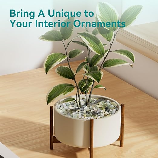 5 lbs Jade Pebbles for Indoor Plants, 3/8" Plant Rocks for Pots Indoor, Decorative Small Stones for Plants, Bamboo,Vase, Succulent, Highly Polished Small River Rocks