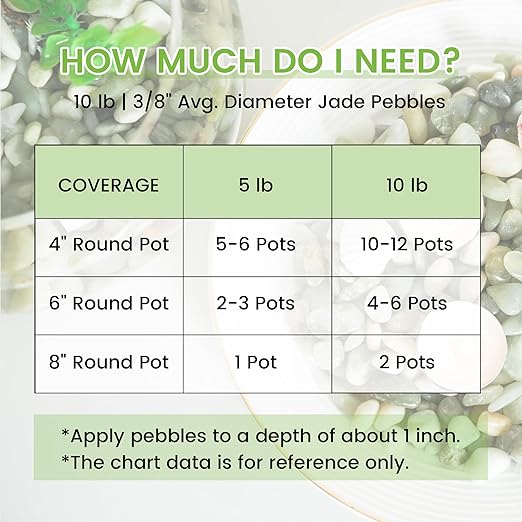 SIDONG 10 LB Jade Pebbles, 2/5 Inch Natural Decorative Polished Jade Stones, Jade River Rocks for Succulents, Cactus, Vases, Indoor Plants, Garden Landscaping, Bamboo