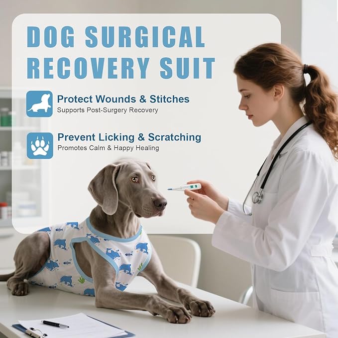 Recovery Suit for Dogs After Surgery, Professional Dog Surgical Suit for Female Spay, Male Neuter, E-Collar & Cone Alternative Dog Onesie for Abdominal Wounds Skin Disease, Blue, M