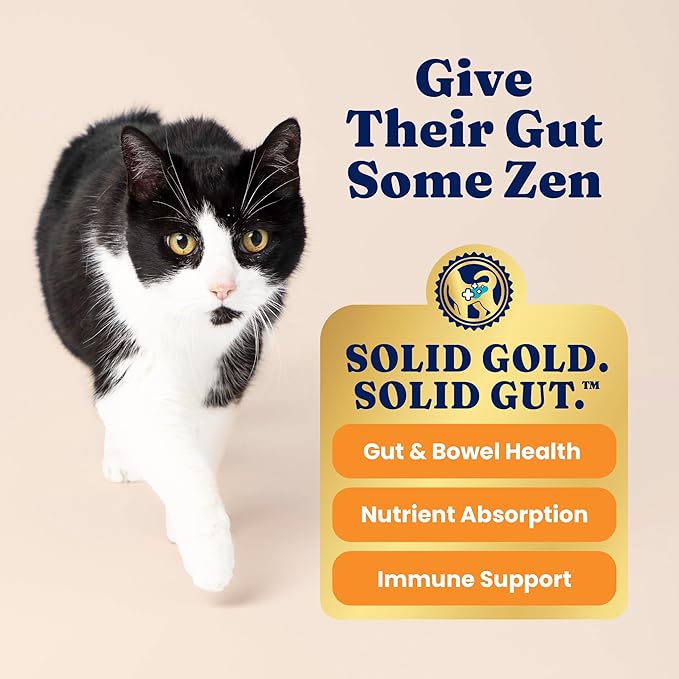 Solid Gold Indoor Dry Cat Food - Grain Free & Gluten Free - Chicken Cat Food Dry Kibble for Indoor Cats w/Probiotics & Fiber for Gut Health - Sensitive Stomach & Hairball Support for Adult Cats - 3LB