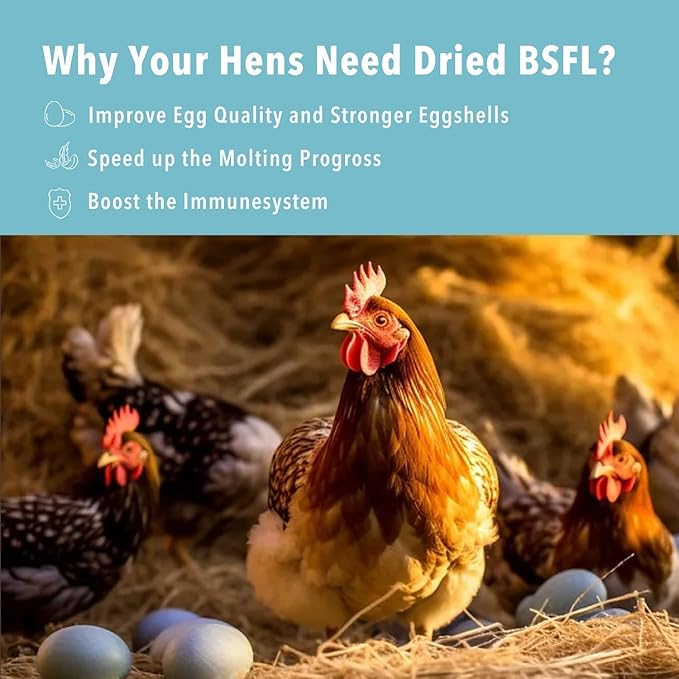 5LB Dried Black Soldier Fly Larvae Treat for Chicken More Calcium Than Mealworms,for Laying Hen,Wild Birds (5 Pound)