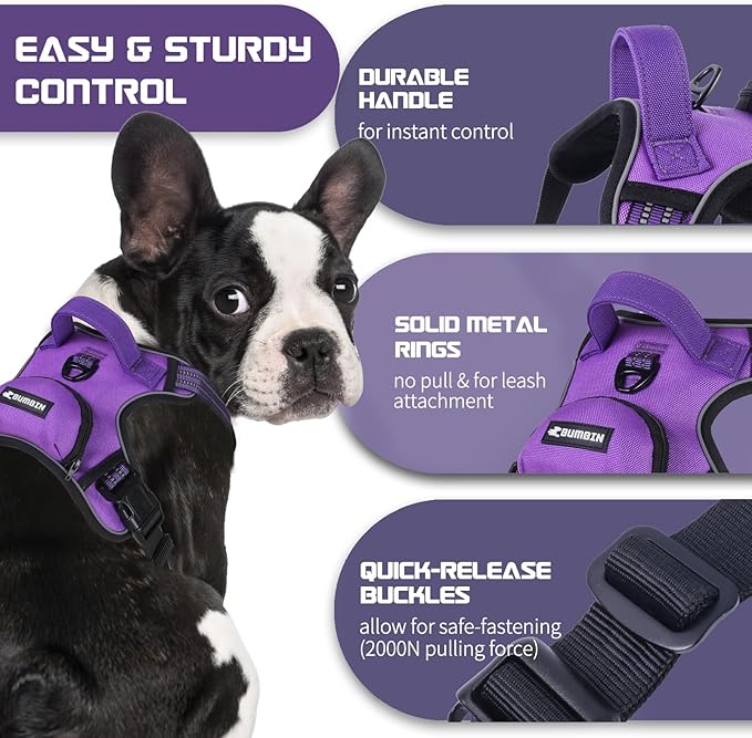BUMBIN Dog Harness for Large Dogs, No Pull Adjustable No Choke Pet Vest with Dog Leash Fit Smart Reflective Pet Walking Harness for Training Easy Control Soft Handle Purple S