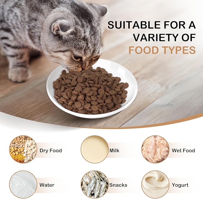 TRUVIC 4 Pack Ceramic Cat Food Bowls, 5.9 Inch Ceramic Cat Dishes Set for Indoor Cats and Small Dogs, Anti Whisker Fatigue Kitten Bowls, Wide Shallow Kitten Plates for Food and Water (Fishbone)