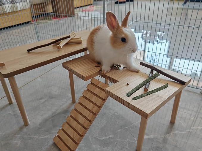 Bamboo Apple Sticks for Chinchillas Hamster Mouse Gerbil Bunny Pet Rat Guinea Pig Rabbit Chew Wood Timothy Hay Sticks Enrichment Toys for Teeth Supply Treats Snacks for Boredom Indoor