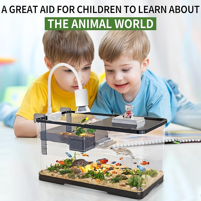 (Tank + Light + Filter + Filter Balls) Turtle Tank Kit, Turtle Tank Starter Kit,Bottom Drainage, Multi-Function Areas for Turtles, Crabs,Fishes, Amphibians,Reptiles. (15.75 x 8.64 x 8.64 Inch)