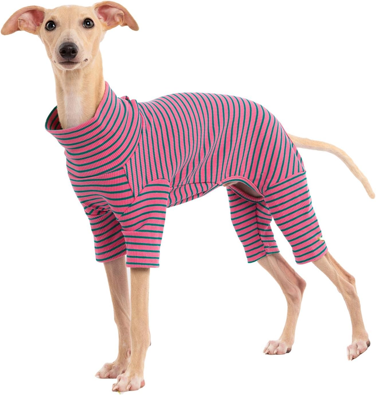 Dog Sweaters for Small Dogs Girls Boys, Striped Pet Sweaters for Fall Winter Dog Clothes, Turtleneck Pullover Knitwear for Small Medium Large Dog- ( Available in multiple colors)