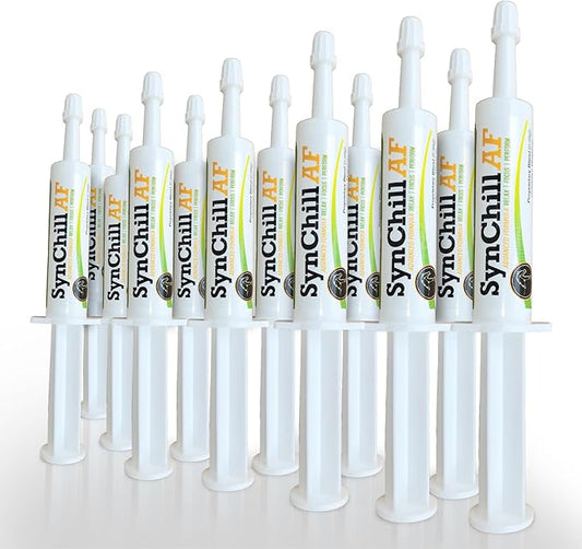 SynChill AF Calming Gel for Nervous Horses - Single Serving - Advanced Formula with L-Theanine, Increased Potency, 100% Natural Supplement, Disposition & Confidence Support for Horses - 12 Pack