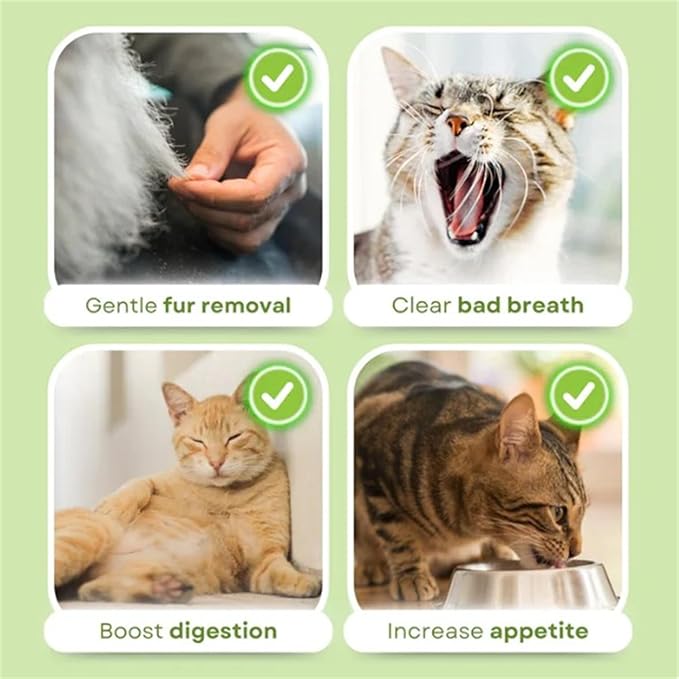 Primeco Cat Grass Teething Stick, Natural Grass Molar Rod Made of Chicken & Cat Grass, 6 PCS Per Bag for Cat Indoor Teeth Cleaning, Hairball Removal, Dental Care, Increase Appetite (2 pcs)