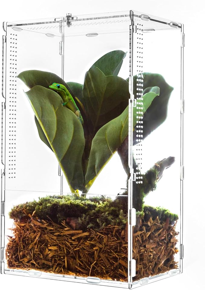 REPTI ZOO Large Tarantula Enclosure Spider Enclosure 14" X 8" X 6", 2 in 1 Acrylic Aboreal Breeding Box for Mantis Snail or Terrestrial Breeding Box for Cricket Jumping Spiders Tarantula