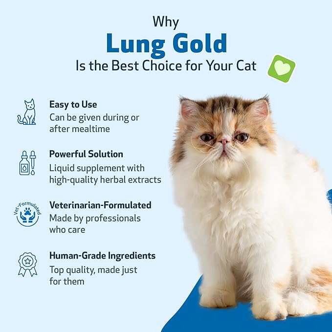 Pet Wellbeing Lung Gold for Cats - Lung Immune Support, Lower Respiratory Health, Open Airways, Normal Breathing, Reishi, Coptis - Veterinarian-Formulated Herbal Supplement - 4 oz (118 ml)