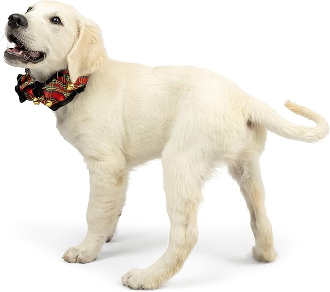 Huxley & Kent Ruff Pet Scrunchy | Shiny Christmas Plaid (Extra-Small) | Festive Christmas/Holiday Neckwear for Dogs/Cats | Fun Stretchable Costume Accessory | Soft Collar with Bells