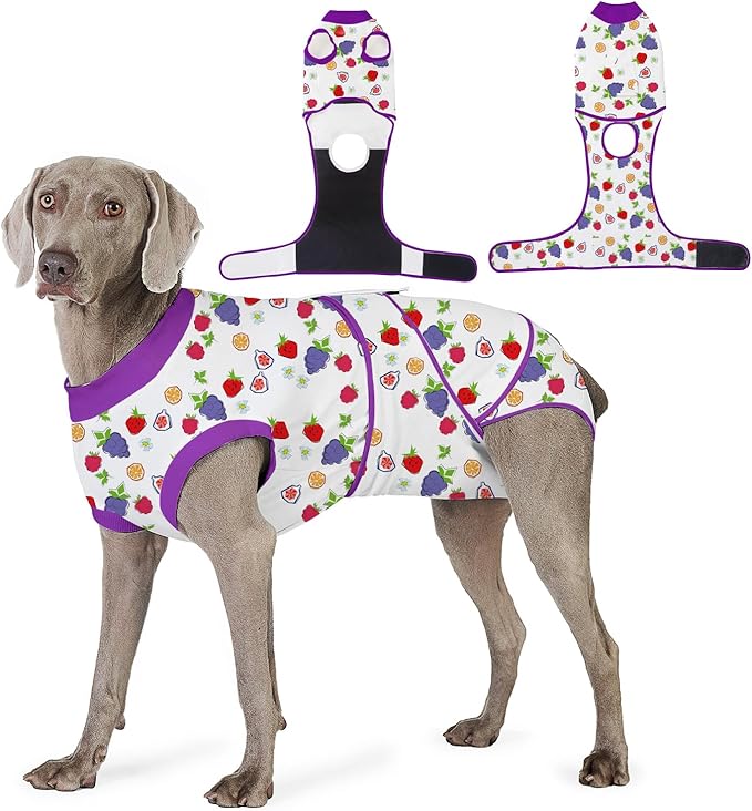 Recovery Suit for Dogs After Surgery, Professional Dog Surgical Suit for Female Spay, Male Neuter, E-Collar & Cone Alternative Dog Onesie for Abdominal Wounds Skin Disease, Purple, S