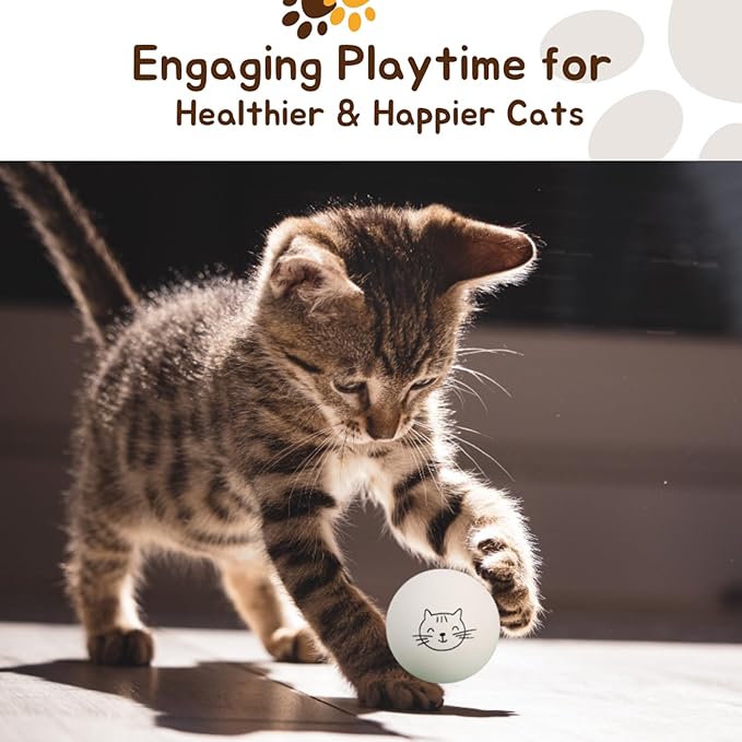 Ping Pong Balls for Cats, 6 Pack, Enrichment Toys, Cat Lovers Gift Ideas, Ball Pits, Bouncy