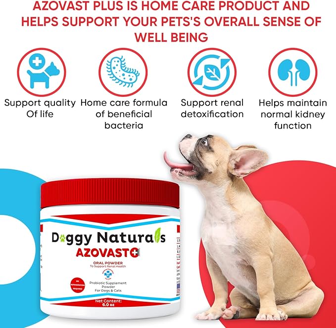 Azovast Plus Kidney Health Supplement for Dogs & Cats, Oral Powder (6 Oz) - (120 Doses/Jar) NO Refrigeration Required - Help Support Kidney Function & Manage Renal Toxins (Made in U.S.A) (6 Oz)