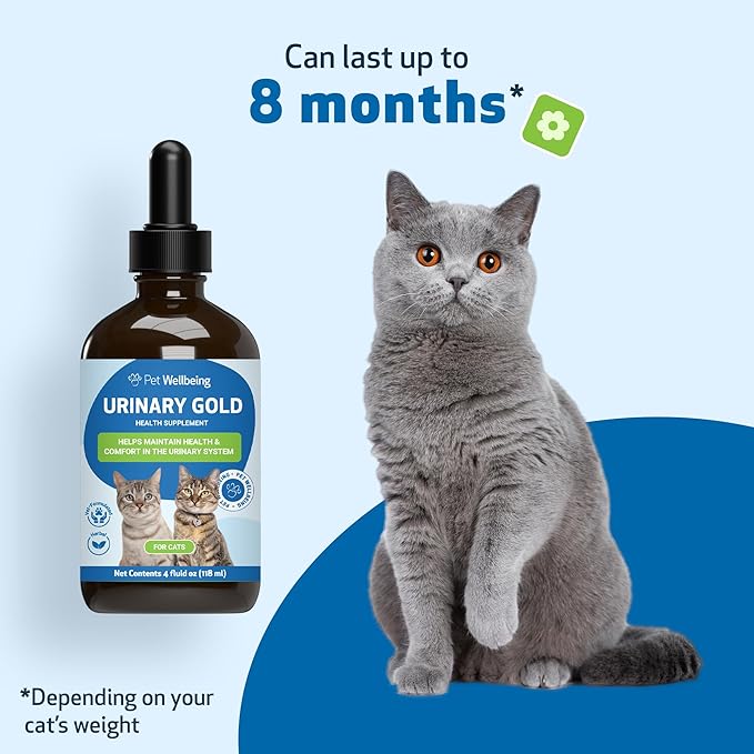 Pet Wellbeing Urinary Gold for Cats - Supports Urinary Tract Health, Normal Frequency, Healthy Immune Response, Stoneroot, Hydrangea - Vet-Formulated Herbal Supplement 4 fl oz (118 ml)