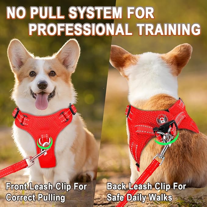 Dog Harness Step in Dog Vest Harness, Reflective Adjustable Puppy No Pull Harness Breathable Soft for Small and Medium Dogs Cats, Red, XS