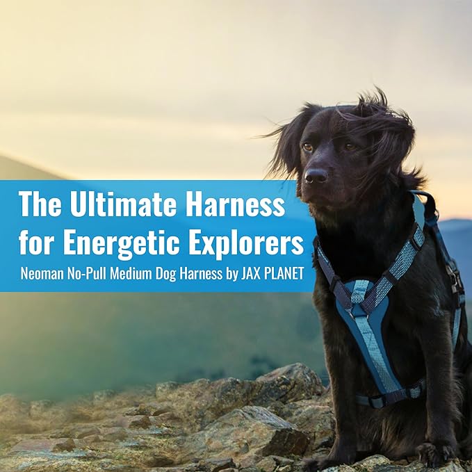 No-Pull Dog Harness with Handle - Escape Proof, Anti-Pulling, Grip Control, Multi-Angle Reflective for Safe Walks & Training, Easy On & Off, Metal Buckle–Pet Harness, Medium/Large Dogs- H3- Black