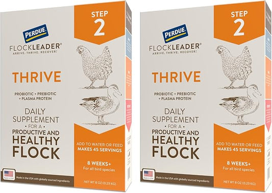 Thrive, Daily Probiotic & Prebiotic Water Supplement for Chickens 8+ Weeks Old, 8 oz (Pack of 2)