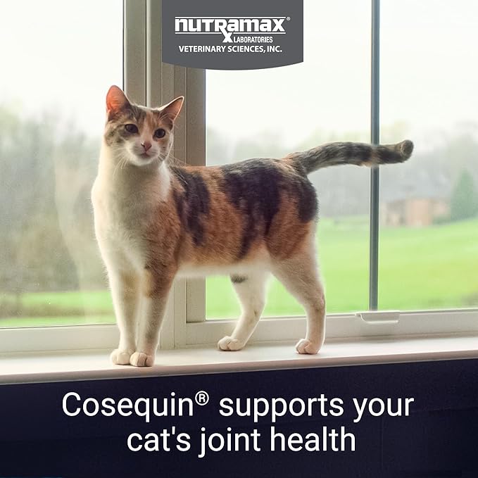 Nutramax Cosequin Joint Health Supplement for Cats - With Glucosamine and Chondroitin, 80 Capsules (Pack of 2)
