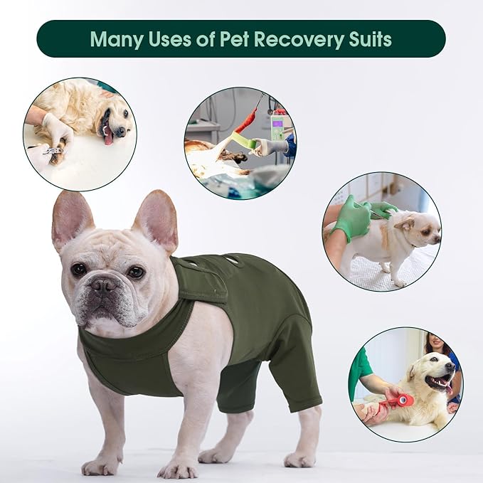 Kuoser Dog Surgery Recovery Suit, Thigh Wound Protective Sleeve for Dogs, Dog Recovery Sleeve for Female Male Dogs, Pet Surgical Suit for Spay Neuter, Dog Onesie After Surgery, Green XXL