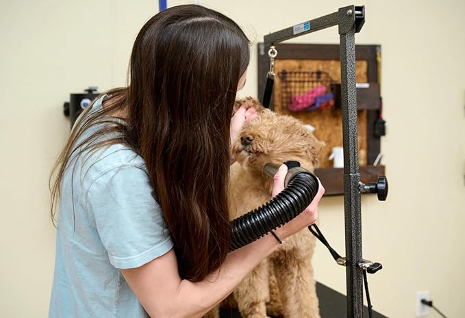 METROVAC MB-3V Air Force Blaster Pet Dryer, Professional Drying, Efficient Cleaner, 4.0 Peak HP Twin Fan Motors, 10 Ft Commercial Hose, Variable Speed