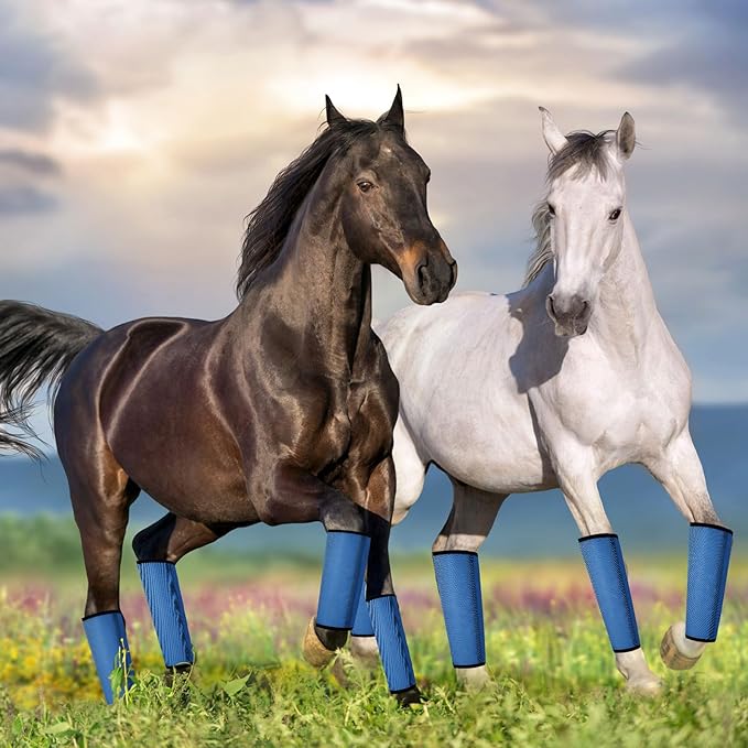 Jexine 12 Fly Boots for Horse Set of 12 Loose Breathable Mesh Horse Fly Sheets Protective Horse Leg Wraps Leggings for Preventing Flies and Mosquitoes Bites(Blue)