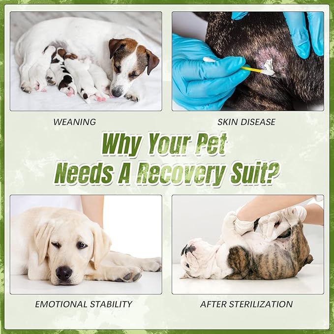 Kuoser Dog Surgery Recovery Suit, Anti Licking Pet Surgical Suit for Dogs Male Neuter, Female Dog Surgery Suit for Spay Subsititute E-Collar Cone, Dogs Body Suits After Surgery Green Tie Dye 2XL