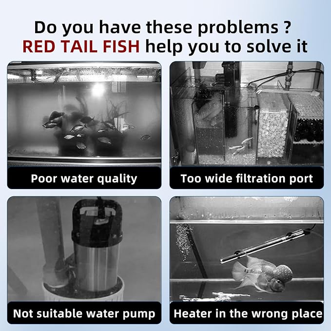 Betta Fish Tank, 2.5 Gallon Aquarium Kit with Modular Filtration, Heater, Light, Self Cleaning, Oxygenation, Small Fish Tank for Goldfish, Guppy, Shrimp