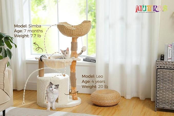 Modern Cat Tree for Large Cats, Wood Cat Tower for Indoor Cats, Real Branch Luxury Cat Furniture with Super Large Cozy Condo and Hammock & Scratching Post, Top Basket, White