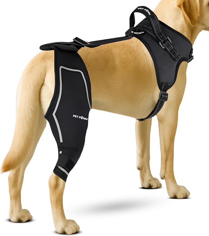 Petpanm- Adjustable Dog Knee Brace- Right Hind Leg with Integreted Harness- Premium Support for Torn ACL, Sprains & Strains Recovery, Enhances Mobility, Comfortable Neoprene.(Large)