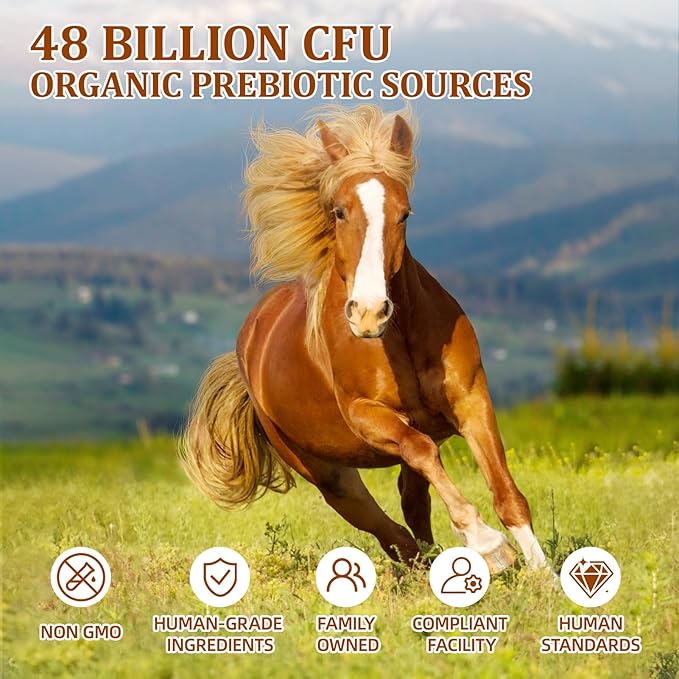 Probiotics for Horses Dietary Supplement, All-Natural Digestive System Maintenance Formula Equine Digestion Support Horse Health Supplements (90 Days)
