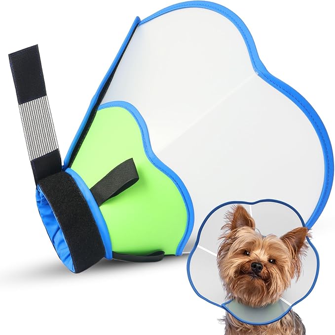 Hard & Heavy Plastic Dog Cone Collar Alternative for Small Dogs (Yorkshire Pomeranian), Pet Neck Head Protective Cone Anti-Lick, Adjustable Elizabethan Recovery Collar Cone of Shame for Healing