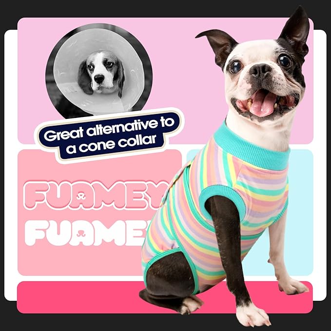 FUAMEY Recovery Suit for Dogs After Surgery,Soft Breathable Dog Bodysuit E-Collar & Cone Alternative Surgical Suit,Male Female Dog Neuter Spay Suits Anti Licking Wounds Onesie Mint Green Stripes S