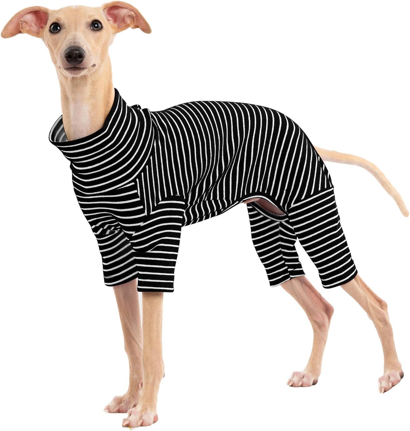 Dog Sweaters for Small Dogs Girls Boys, Striped Pet Sweaters for Fall Winter Dog Clothes, Turtleneck Pullover Knitwear for Small Medium Large Dog- ( Available in multiple colors)