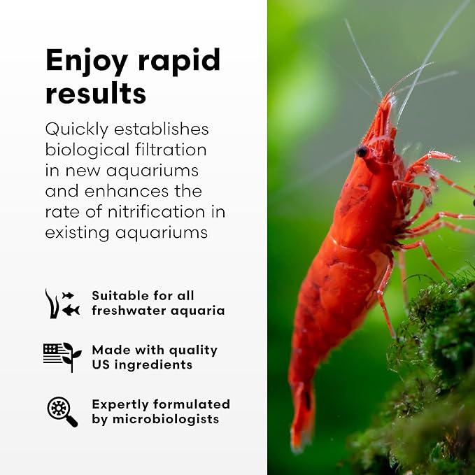 Brightwell Aquatics MicroBacter Start XLF - Concentrated Freshwater Nitrifying Bacteria - Quick Start Fish Tank Starter, Lift Microbe Levels & Water Filtering - Aquarium Water Treatments, 16.9 fl oz