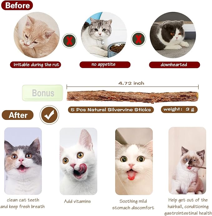 Natural Wood Cat Wand Toy with Ribbon Fish Teaser - 3pcs, 16 Inch, Indoor Cat Exerciser & Playing Kitten Toy, Bonus 5pcs Catnip Sticks for Teeth Cleaning