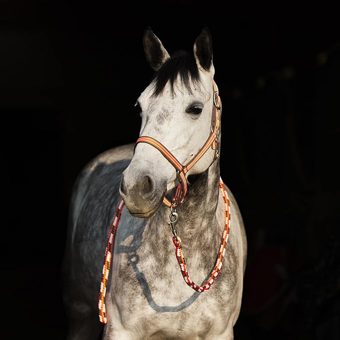 HORZE Adepto Adjustable Horse Halter | Soft, Durable Polyester - Coral Gold - Pony