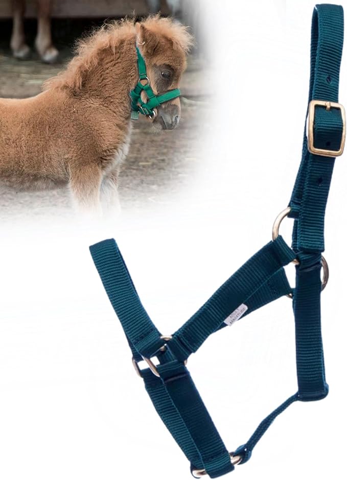 Jeffers Equine Mini Horse Halter – 3/4" Nylon Adjustable Halter for Miniature Horses, Ponies, Under 200 lbs – Heavy Duty Hardware, Secure Fit for Training, Turnout, Grooming, Travel – Dark Green