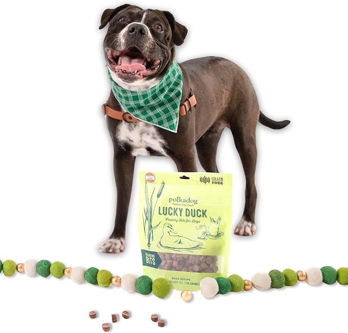 Polkadog Lucky Duck Crunchy Training Bits – All Natural, Grain Free Healthy Training Treats for Dogs. Handcrafted & Made in USA. Great for Dogs with Allergies or Sensitive Stomachs – 7oz