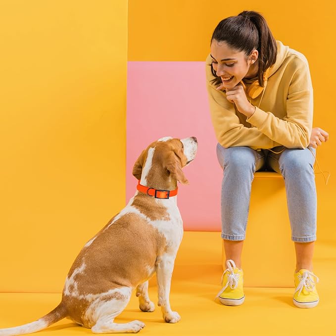 Dogline Biothane Waterproof Dog Collar Strong Coated Nylon Webbing with Black Hardware Odor- Proof for Easy Care Easy to Clean High Performance Fits Small Medium or Large Dogs, Hunter Orange