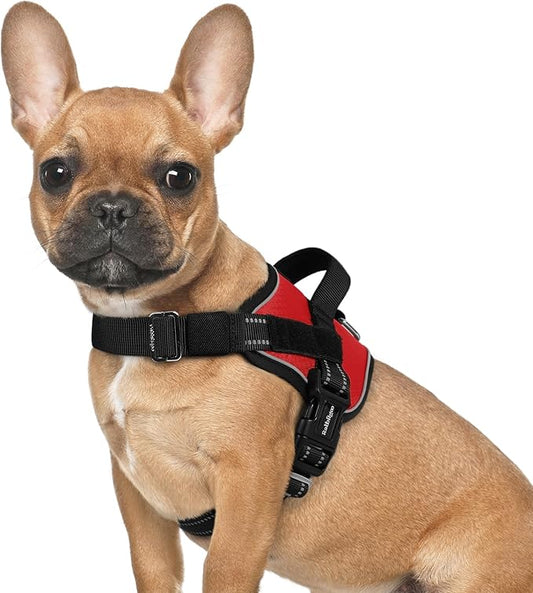 rabbitgoo Dog Harness for Small, Easy On Pet Vest with One Buckle, No Pull Adjustable Service Harness with D-Ring & Handle, Reflective for Safety Walking, Training, Red, S