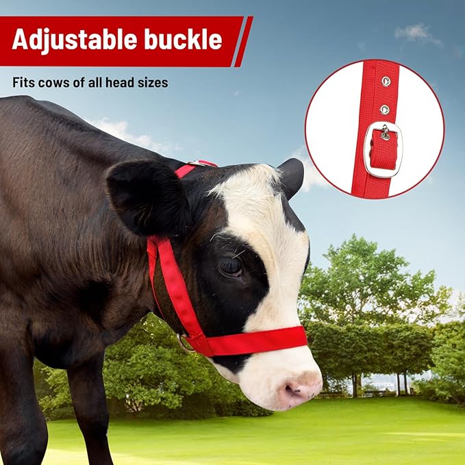 XUANNIAO Easily Adjustable Figure 8 Cow Halter, Double-Ply Premium Livestock Cattle Halters, Colorful Cow Utility Calf Halter with Leading Rope for Miniature Horse Donkey Goat Foal (Medium, Red)