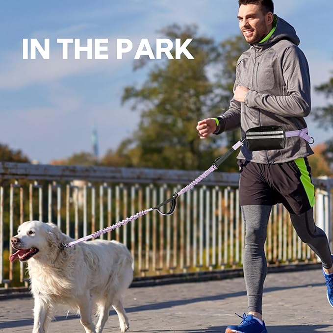 Hands Free Dog Leash, Adjustable Waist Belt with Double Padded Handles,Retractable Bungee, Waist Leash for Dog Walking,Running, No Pull,Purple